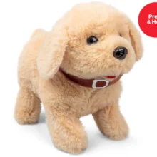 Lucy de Hond - aangepast speelgoed