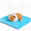 Cavia Verzwaringsknuffel met trillend effect