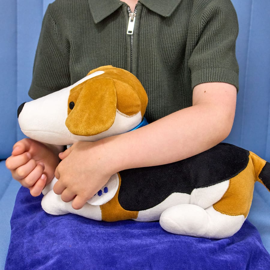 Hond Verzwaringsknuffel
